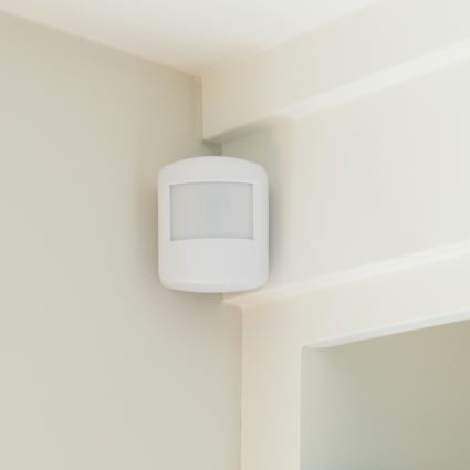 Albany motion sensor